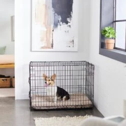 Frisco Swirl Dog Crate Mat -Dog - Cat Shop 110506 PT5. AC SS1800 V1635258765