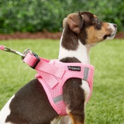 Frisco Small Breed Soft Vest Step In Back Clip Dog Harness -Dog - Cat Shop 139821 PT5. AC SS1800 V1561573781