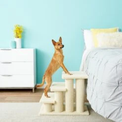 Frisco 18.5 Or 24.5 Inch 2-in-1 Cat & Dog Stairs -Dog - Cat Shop 140154 PT6. AC SS1800 V1584453442