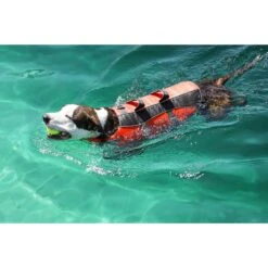 Frisco Ripstop Dog Life Jacket -Dog - Cat Shop 140919 PT8. AC SS1800 V1540476454