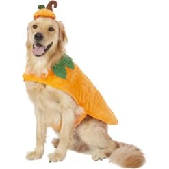 Frisco Pumpkin Dog & Cat Costume -Dog - Cat Shop 144446 PT2. AC SS1800 V1567174700