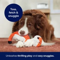Frisco Fox Skinny Plush Squeaky Dog Toy -Dog - Cat Shop 147049 PT5. AC SS1800 V1691776638