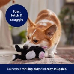 Frisco Cow Textured Plush Squeaky Dog Toy -Dog - Cat Shop 147059 PT5. AC SS1800 V1691776636