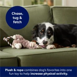 Frisco Monkey Plush With Rope Squeaky Dog Toy -Dog - Cat Shop 147067 PT4. AC SS1800 V1686079871