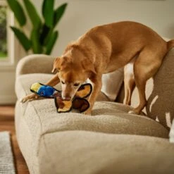 Frisco Duck Flat Plush Squeaky Dog Toy -Dog - Cat Shop 147069 PT3. AC SS1800 V1674158058