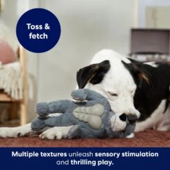 Frisco Wolf Muscle Plush Squeaky Dog Toy -Dog - Cat Shop 147082 PT5. AC SS1800 V1691776574