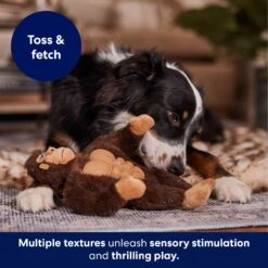 Frisco Gorilla Muscle Plush Squeaky Dog Toy -Dog - Cat Shop 147084 PT5. AC SS1800 V1694182068