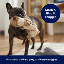 Frisco Beaver Bungee Plush Squeaky Dog Toy -Dog - Cat Shop 152824 PT5. AC SS1800 V1686580146