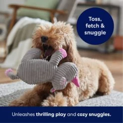 Frisco Rhino Corduroy Plush Squeaky Dog Toy -Dog - Cat Shop 152828 PT4. AC SS1800 V1695659205