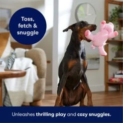 Frisco Corduroy Plush Squeaking Pig Dog Toy -Dog - Cat Shop 152832 PT4. AC SS1800 V1695671001