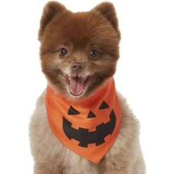 Frisco Jack O' Lantern Pumpkin Dog & Cat Bandana -Dog - Cat Shop 158934 PT2. AC SS1800 V1690828662