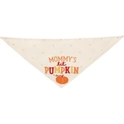 Frisco Mommy's Lil Pumpkin Dog & Cat Bandana -Dog - Cat Shop 158936 PT3. AC SS1800 V1689628812