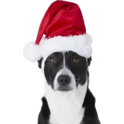 Frisco Holiday Dog & Cat Santa Hat, 1 Count -Dog - Cat Shop 160054 PT2. AC SS1800 V1669100718