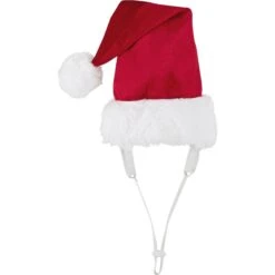 Frisco Holiday Dog & Cat Santa Hat, 1 Count -Dog - Cat Shop 160054 PT3. AC SS1800 V1663949393