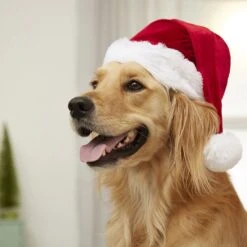 Frisco Holiday Dog & Cat Santa Hat, 1 Count -Dog - Cat Shop 160054 PT4. AC SS1800 V1637650626