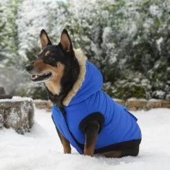 Frisco Heavyweight Anchorage Insulated Dog & Cat Parka -Dog - Cat Shop 160250 PT7. AC SS1800 V1567011259
