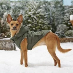 Frisco Mid-Heavyweight Portland Insulated Dog & Cat Parka -Dog - Cat Shop 160295 PT7. AC SS1800 V1567618265