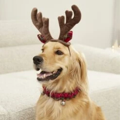 Frisco Holiday Antler Headband & Bell Collar Dog & Cat Costume -Dog - Cat Shop 160658 PT4. AC SS1800 V1568818037