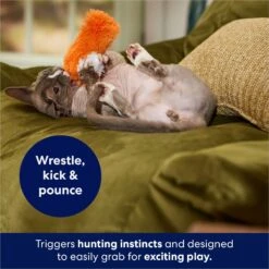 Frisco Plush Kicker Cat Toy -Dog - Cat Shop 161264 PT5. AC SS1800 V1686579626