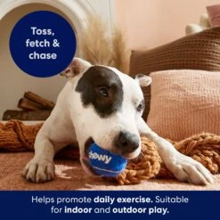 Frisco Chewy Fetch Squeaky Tennis Ball Dog Toy 9 Frisco Chewy Fetch Squeaky Tennis Ball Dog Toy -Dog - Cat Shop 164314 PT3. AC SS1800 V1691783970