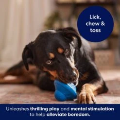 Frisco Flying Saucer Rubber Treat Dispenser Dog Toy -Dog - Cat Shop 164757 PT5. AC SS1800 V1691784247