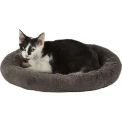 Frisco Self Warming Bolster Round Kitten Bed -Dog - Cat Shop 165315 PT2. AC SS1800 V1568211141