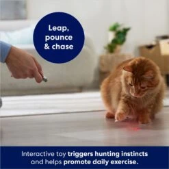 Frisco 2-in-1 Laser & LED Light Laser Cat Toy -Dog - Cat Shop 166309 PT3. AC SS1800 V1686579688