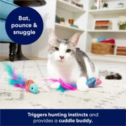 Frisco Sparkle Fish Plush Cat Toy With Catnip -Dog - Cat Shop 166361 PT3. AC SS1800 V1686579689