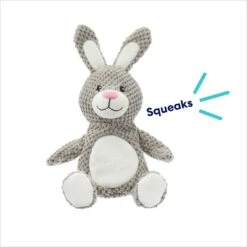 Frisco Bunny Textured Plush Squeaky Dog Toy -Dog - Cat Shop 174693 PT2. AC SS1800 V1695670750