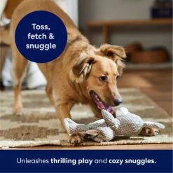 Frisco Bunny Textured Plush Squeaky Dog Toy -Dog - Cat Shop 174693 PT4. AC SS1800 V1695671088