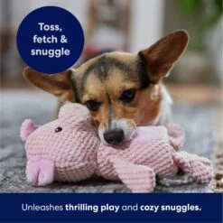 Frisco Pig Textured Plush Squeaky Dog Toy 10 Frisco Pig Textured Plush Squeaky Dog Toy -Dog - Cat Shop 174695 PT4. AC SS1800 V1695670689