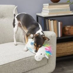 Frisco Unicorn Textured Plush Squeaky Dog Toy -Dog - Cat Shop 174699 PT2. AC SS1800 V1573492386