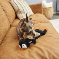 Frisco Penguin Skinny Plush Squeaky Dog Toy -Dog - Cat Shop 174707 PT2. AC SS1800 V1573492672