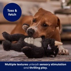 Frisco Rhino Muscle Plush Squeaky Dog Toy -Dog - Cat Shop 174719 PT5. AC SS1800 V1694182068