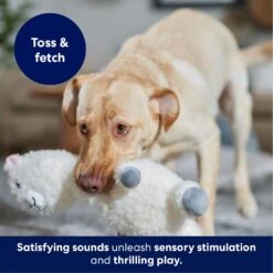 Frisco Llama Bobberz Plush Squeaky Dog Toy 10 Frisco Llama Bobberz Plush Squeaky Dog Toy -Dog - Cat Shop 174741 PT4. AC SS1800 V1695671063