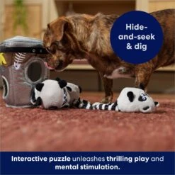 Frisco Trash Can & Raccoons Hide & Seek Puzzle Plush Squeaky Dog Toy -Dog - Cat Shop 174757 PT5. AC SS1800 V1691784248