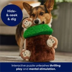 Frisco Monkeys In Tree Hide & Seek Puzzle Plush Squeaky Dog Toy -Dog - Cat Shop 174759 PT5. AC SS1800 V1702598595