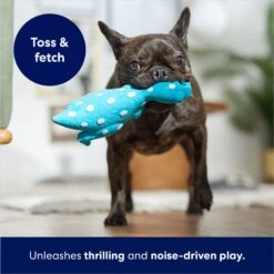 Frisco Dinosaur Latex Squeaky Dog Toy -Dog - Cat Shop 174770 PT3. AC SS1800 V1686579138