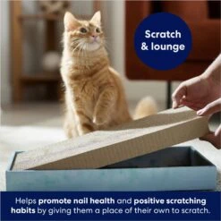 Frisco Double-Wide Cat Scratcher Toy Refill With Catnip, 2 Count -Dog - Cat Shop 174800 PT3. AC SS1800 V1678723850