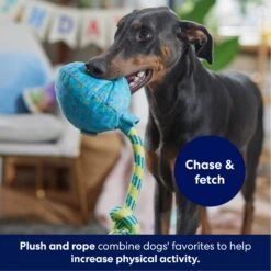 Frisco Birthday Balloon Plush With Rope Squeaky Dog Toy -Dog - Cat Shop 177807 PT3. AC SS1800 V1695241973