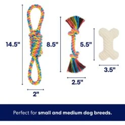 Frisco Jungle Pals Plush & Rope Variety Pack Dog Toy -Dog - Cat Shop 177819 PT2. AC SS1800 V1686579629