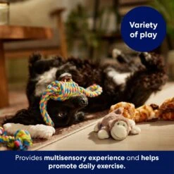 Frisco Jungle Pals Plush & Rope Variety Pack Dog Toy -Dog - Cat Shop 177819 PT5. AC SS1800 V1691784249