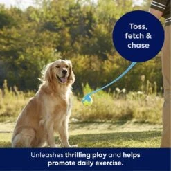 Frisco Ball Launcher & Fetch Squeaky Tennis Ball Dog Toy -Dog - Cat Shop 178477 PT3. AC SS1800 V1695241970