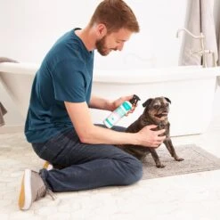 Frisco Aloe Hydrating Dog & Cat Spray, Sweet Nectar Scent -Dog - Cat Shop 192084 PT3. AC SS1800 V1585321073