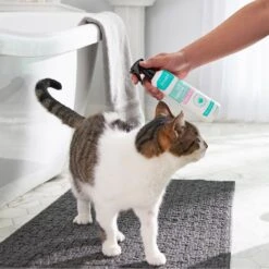 Frisco Aloe Hydrating Dog & Cat Spray, Sweet Nectar Scent -Dog - Cat Shop 192084 PT4. AC SS1800 V1589487682