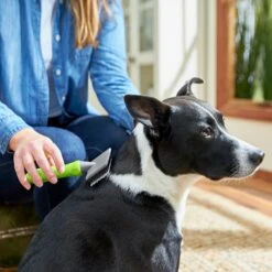 Frisco Soft Slicker Dog Brush, One Size -Dog - Cat Shop 206869 PT4. AC SS1800 V1680186388