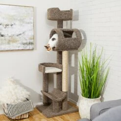 Dog - Cat Shop 44 Frisco 69-in Real Carpet Wooden Cat Tree