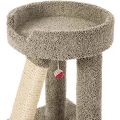 Frisco 24-in Real Carpet Cat Scratching Perch With Toy -Dog - Cat Shop 208960 PT3. AC SS1800 V1589221651