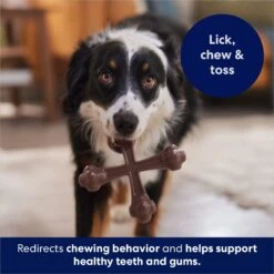 Frisco Bacon Flavor Tough Nylon Dog Chew Toy -Dog - Cat Shop 213430 PT5. AC SS1800 V1691783968