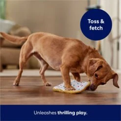 Frisco Frosted Pastry Stuffing-Free Flat Plush Squeaky Dog Toy -Dog - Cat Shop 213812 PT5. AC SS1800 V1686579088